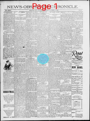 Page thumbnail for News Observer Chronicle