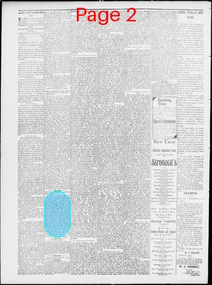 Page thumbnail for News Observer Chronicle