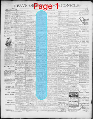 Page thumbnail for News Observer Chronicle