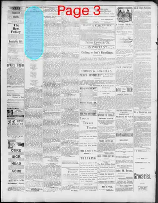 Page thumbnail for News Observer Chronicle