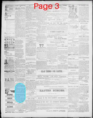 Page thumbnail for News Observer Chronicle