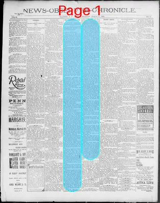 Page thumbnail for News Observer Chronicle