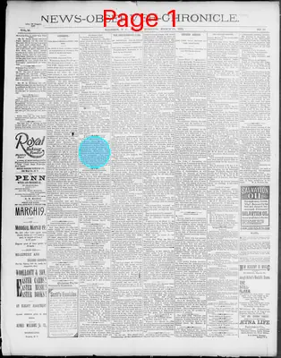 Page thumbnail for News Observer Chronicle