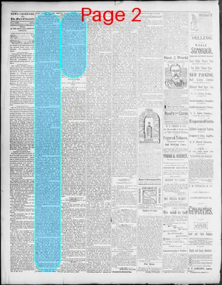 Page thumbnail for News Observer Chronicle