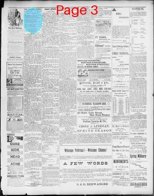 Page thumbnail for News Observer Chronicle