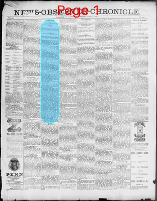 Page thumbnail for News Observer Chronicle