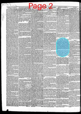 Page thumbnail for Weekly North Carolina Standard