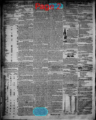 Page thumbnail for The Daily Cincinnati Republican, And Commercial Register