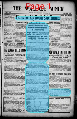 Page thumbnail for The Wallace Miner