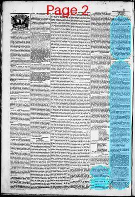 Page thumbnail for Phenix Gazette