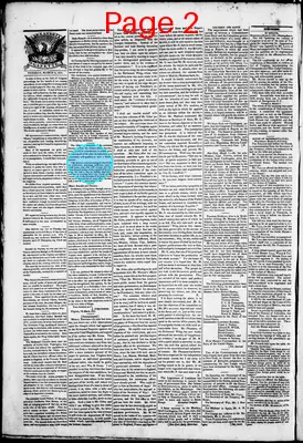 Page thumbnail for Phenix Gazette