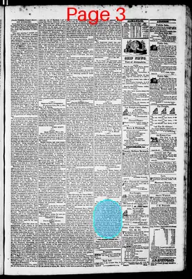 Page thumbnail for Phenix Gazette