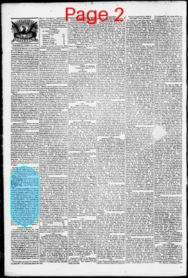 Page thumbnail for Phenix Gazette