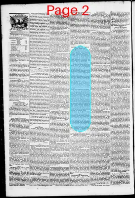 Page thumbnail for Phenix Gazette