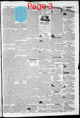 Page thumbnail for Phenix Gazette