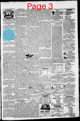 Page thumbnail for Phenix Gazette