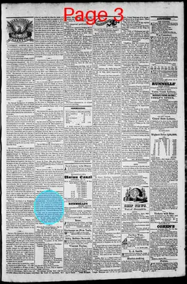 Page thumbnail for Phenix Gazette