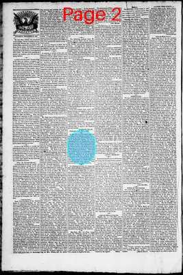 Page thumbnail for Phenix Gazette