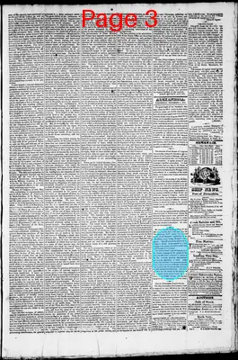 Page thumbnail for Phenix Gazette