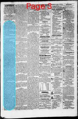 Page thumbnail for Phenix Gazette