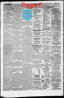 Page thumbnail for Phenix Gazette