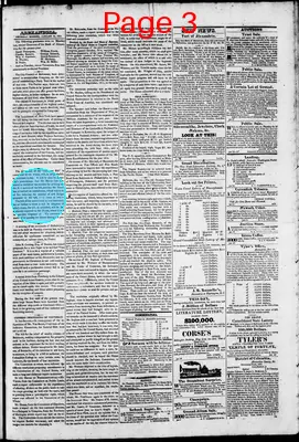 Page thumbnail for Phenix Gazette