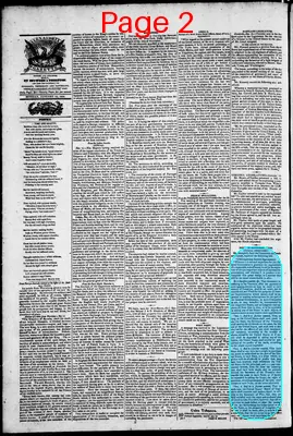 Page thumbnail for Phenix Gazette