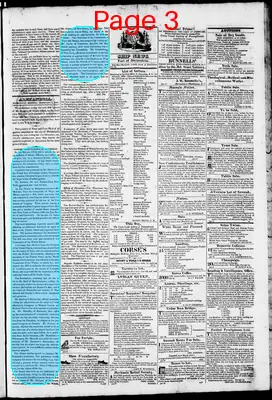 Page thumbnail for Phenix Gazette