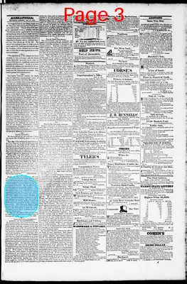 Page thumbnail for Phenix Gazette