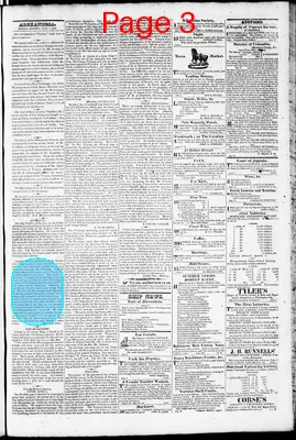 Page thumbnail for Phenix Gazette