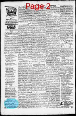 Page thumbnail for Phenix Gazette