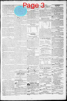 Page thumbnail for Phenix Gazette