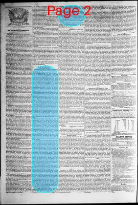 Page thumbnail for Phenix Gazette