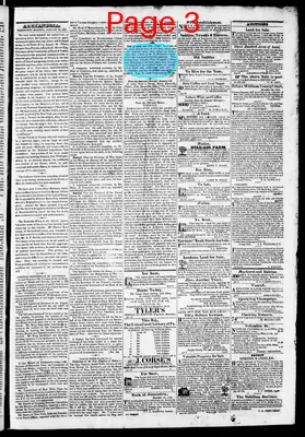 Page thumbnail for Phenix Gazette