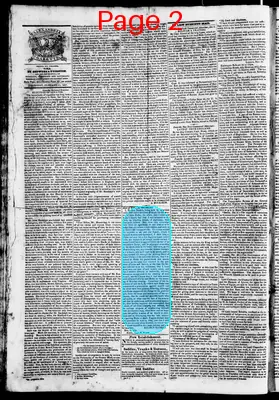 Page thumbnail for Phenix Gazette