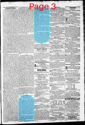 Page thumbnail for Phenix Gazette