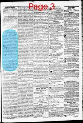 Page thumbnail for Phenix Gazette