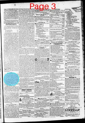 Page thumbnail for Phenix Gazette