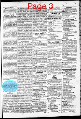 Page thumbnail for Phenix Gazette