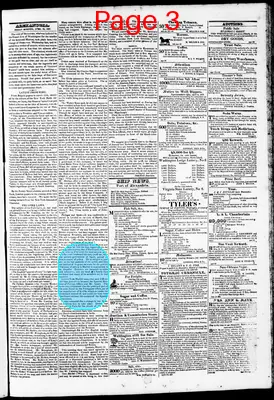 Page thumbnail for Phenix Gazette
