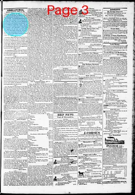 Page thumbnail for Phenix Gazette