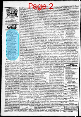 Page thumbnail for Phenix Gazette