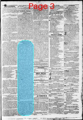 Page thumbnail for Phenix Gazette