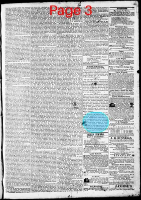 Page thumbnail for Phenix Gazette