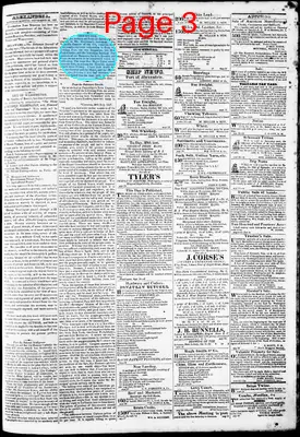 Page thumbnail for Phenix Gazette