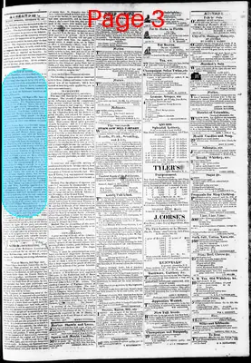 Page thumbnail for Phenix Gazette