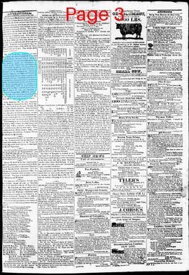 Page thumbnail for Phenix Gazette