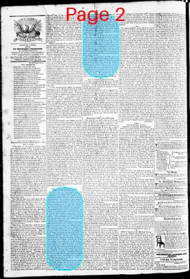Page thumbnail for Phenix Gazette