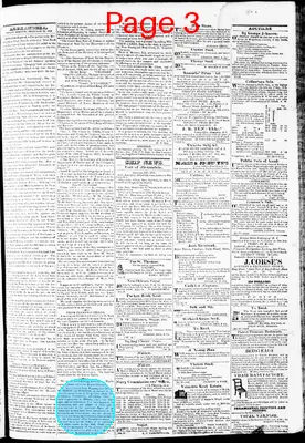 Page thumbnail for Phenix Gazette