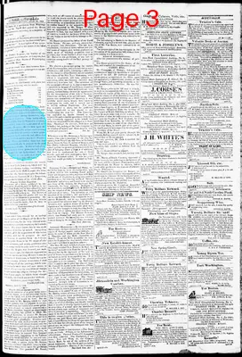Page thumbnail for Phenix Gazette